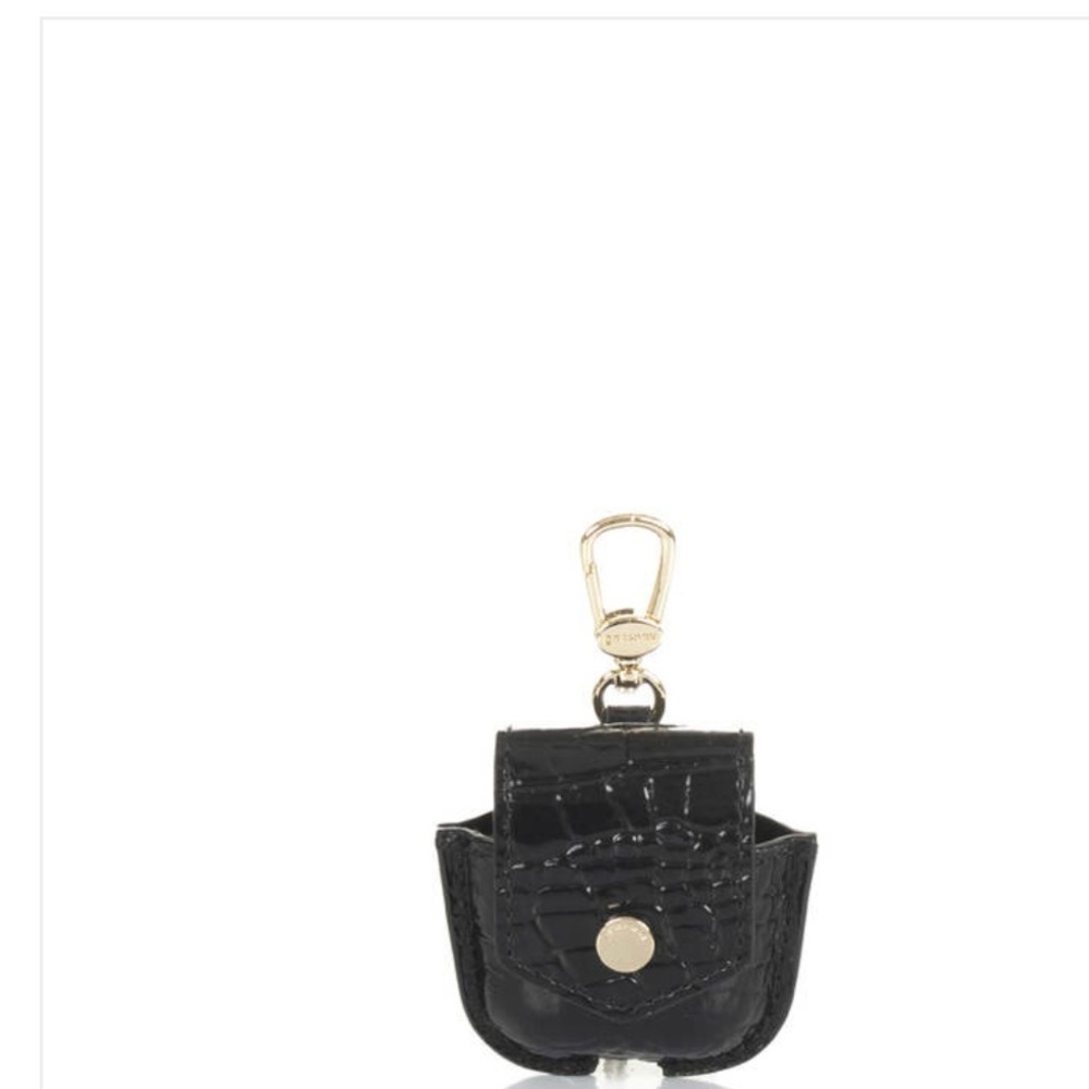 Brahmin Case